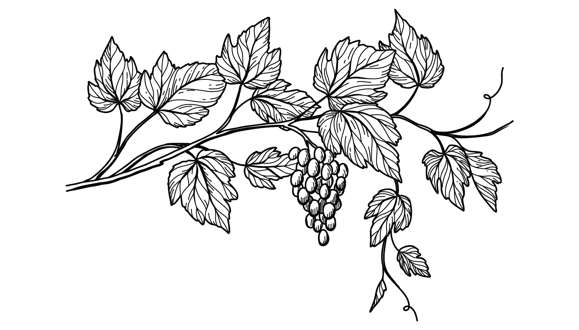 Blodeuo at The Vine Tree